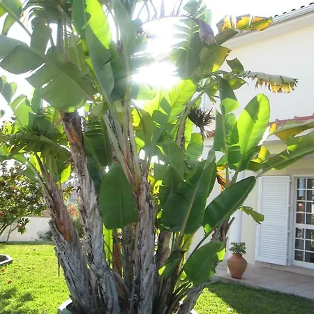 Moradia Da Bananeira Casa vacanze