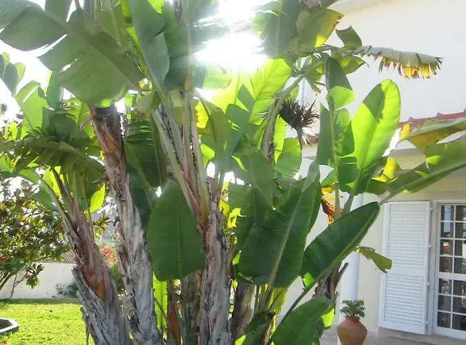 Moradia Da Bananeira Feriehus